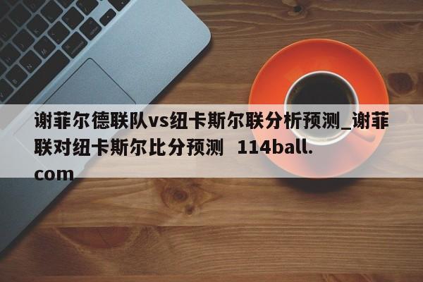 谢菲尔德联队vs纽卡斯尔联分析预测_谢菲联对纽卡斯尔比分预测  114ball.com