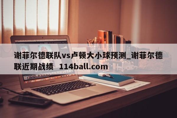 谢菲尔德联队vs卢顿大小球预测_谢菲尔德联近期战绩  114ball.com