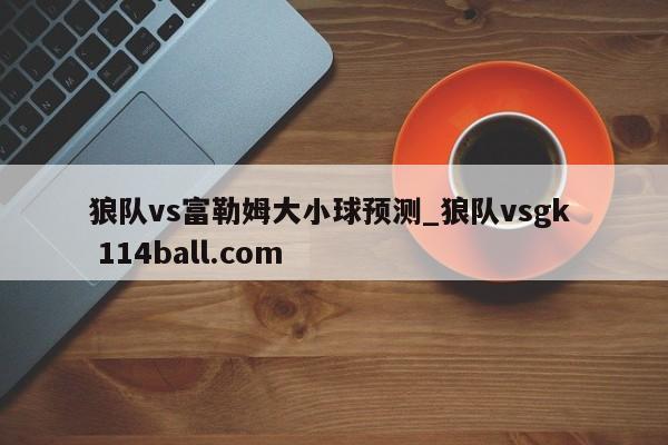 狼队vs富勒姆大小球预测_狼队vsgk  114ball.com